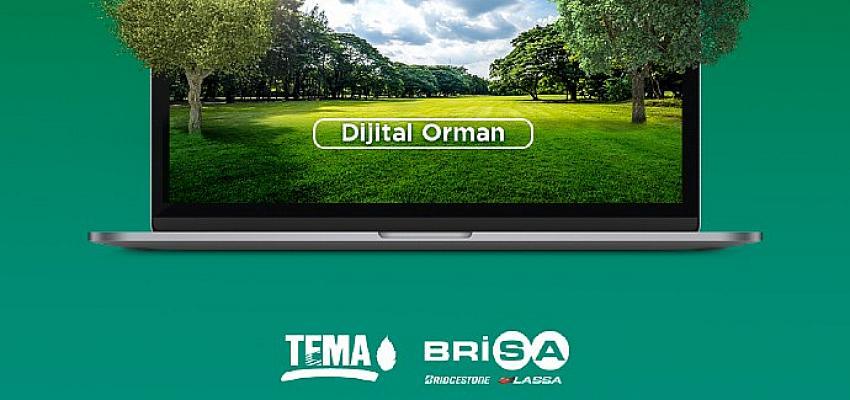 Brisa ve TEMA Vakfı’ndan Dijital Orman