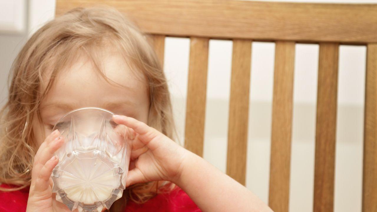 Günde 2 Bardak Süt Laktoz İntoleransını Önleyebilir