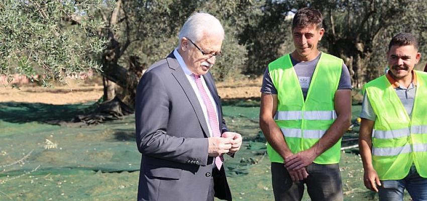 Başkan Deveciler Zeytin Emekçileriyle Buluştu