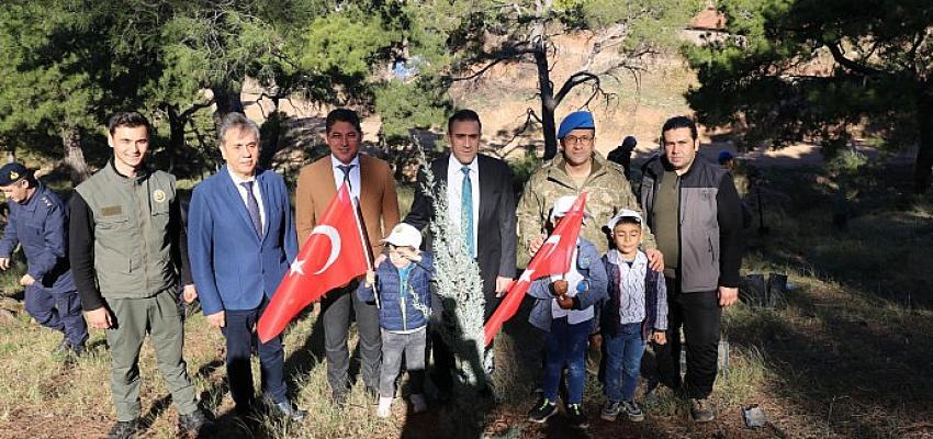 Burhaniye’de Milli Ağaçlandırma Günü