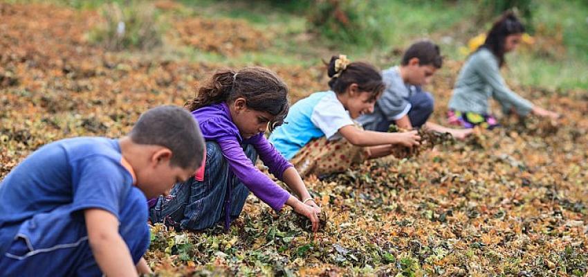 Hayata Destek Derneği: Çocuklar yoksulluk döngüsünden çıksın