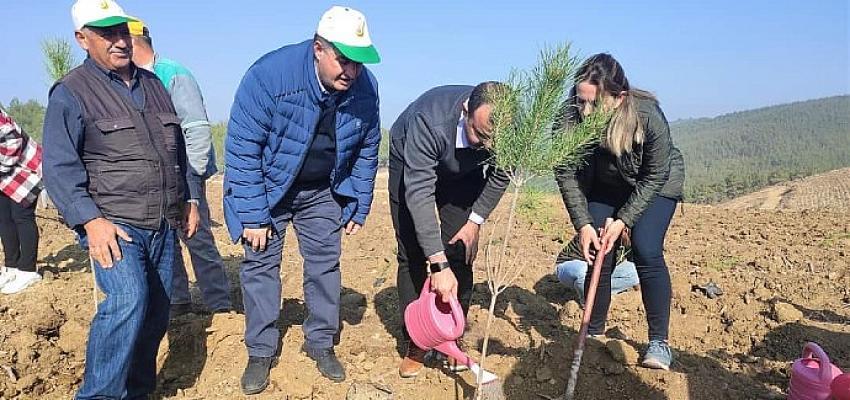 Kınık’ta Fidanlar Toprakla Buluştu