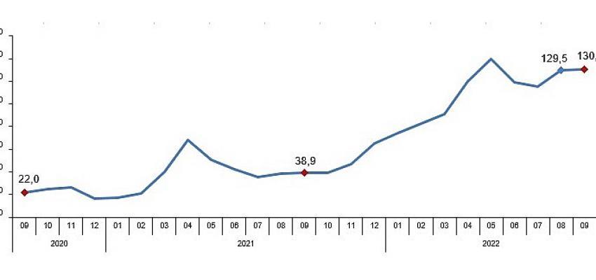 TÜİK Perakende satış hacmi yıllık yüzde 9,7 arttı