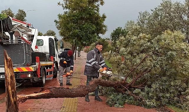 Antalya Büyükşehir’den olumsuzluklara hızlı müdahale