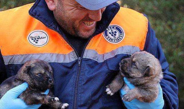 Buca Belediyesi’nin atık yemek seferberliği