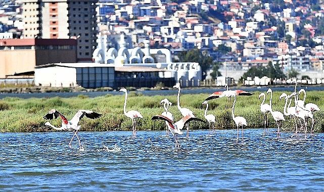 Flamingo Yolu turu 4 binin üzerinde ziyaretçi ağırladı