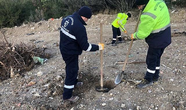 Karamürsel Dereköy’e 1000 ağaç fidanı dikilecek