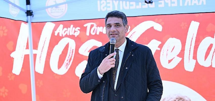 Kartepe’nin Sokak Hayvanlarına Mutlu Son