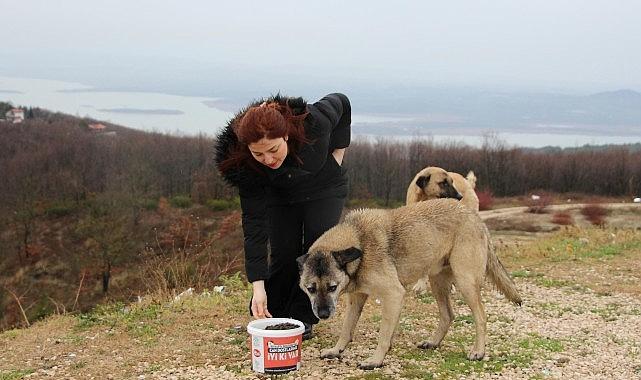 Kırsaldaki can dostlara gönüllü destek