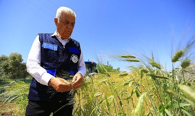 Muğla Büyükşehir’den Tarım ve Hayvancılığa Büyük Destek