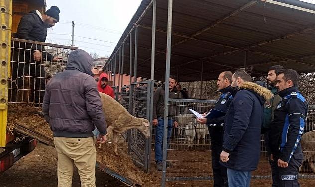 Hayvan Satış Yeri’nde Denetim Gerçekleştirildi