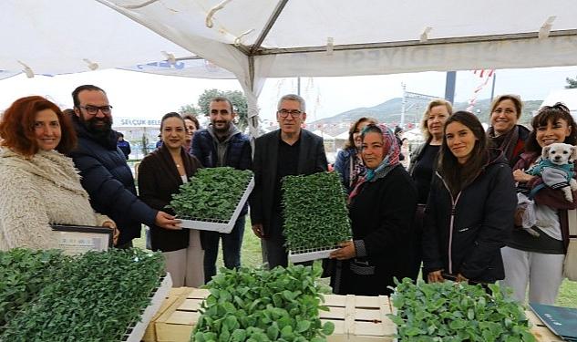 Efes Tarlası’nın Ata Tohumları Deprem Bölgesindeki Filizlenecek