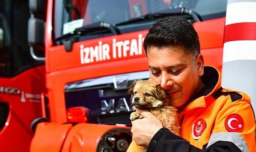 İzmirli itfaiyeci deprem bölgesinden gelen köpeğe yuvasını açtı