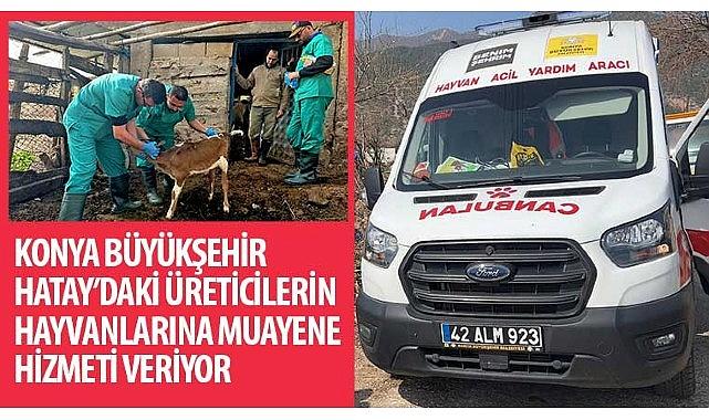 Konya Büyükşehir Hatay’daki Üreticilerin Hayvanlarına Muayene Hizmeti Veriyor