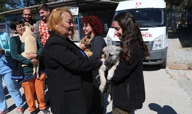 Dünya Veteriner Hekimler Günü dolayısıyla Bodrum Belediyesi Veteriner İşleri Müdürlüğü tarafından kahvaltı organizasyonu gerçekleştirildi