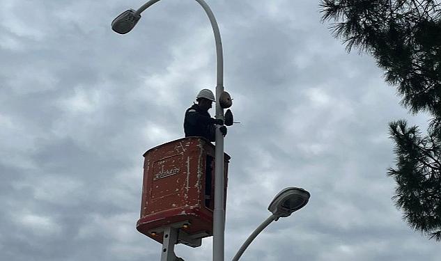 Leylek ve kuşların uğrak noktası olan sokak lambaları ve elektrik direkleri, UEDAŞ sayesinde birer yuvaya dönüşüyor