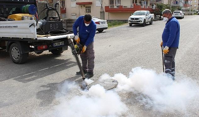 Sineksiz yaz için yoğun mücadele