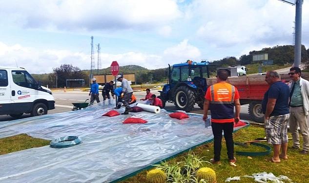 Üçağız Kavşağı’nda rengarenk kurakçıl peyzaj