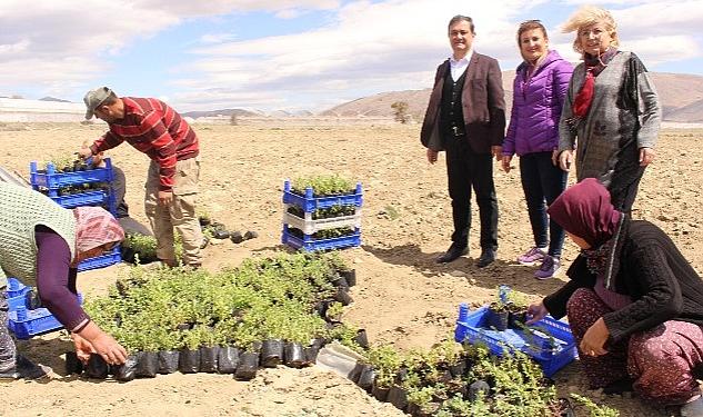 Antalya Büyükşehir Belediyesi’nin Elmalı’da Hibe Desteği Sürüyor