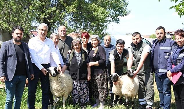 Başkan Çerçioğlu’ndan Koyunları Telef Olan Üretici Kadına Destek